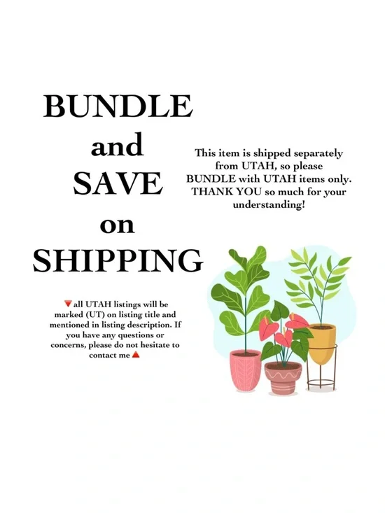 (UT) Anthropologie "Sissinghurst Castle" Footed Cup and Saucer - Picture 7 of 8